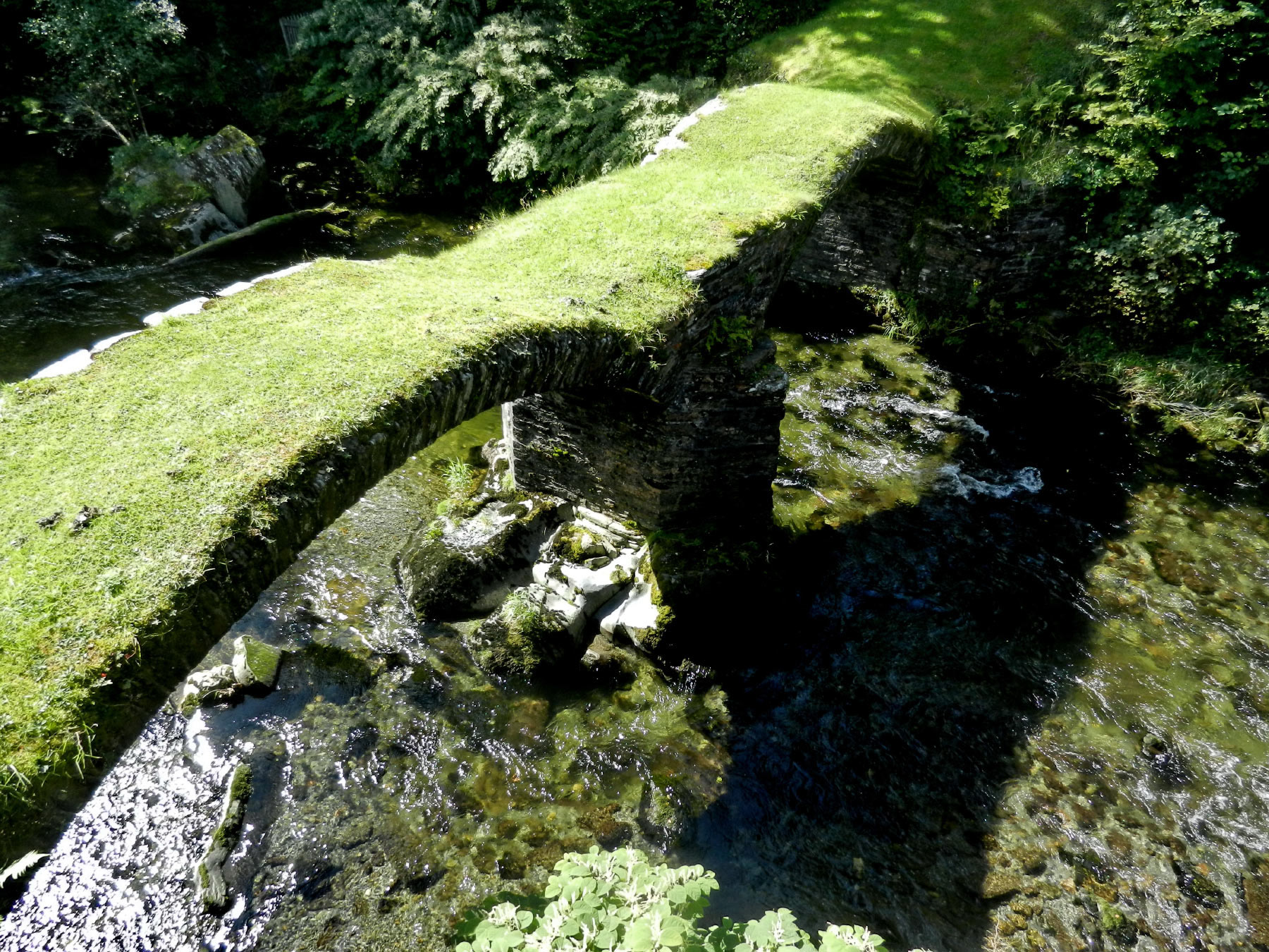 Meirion Mill